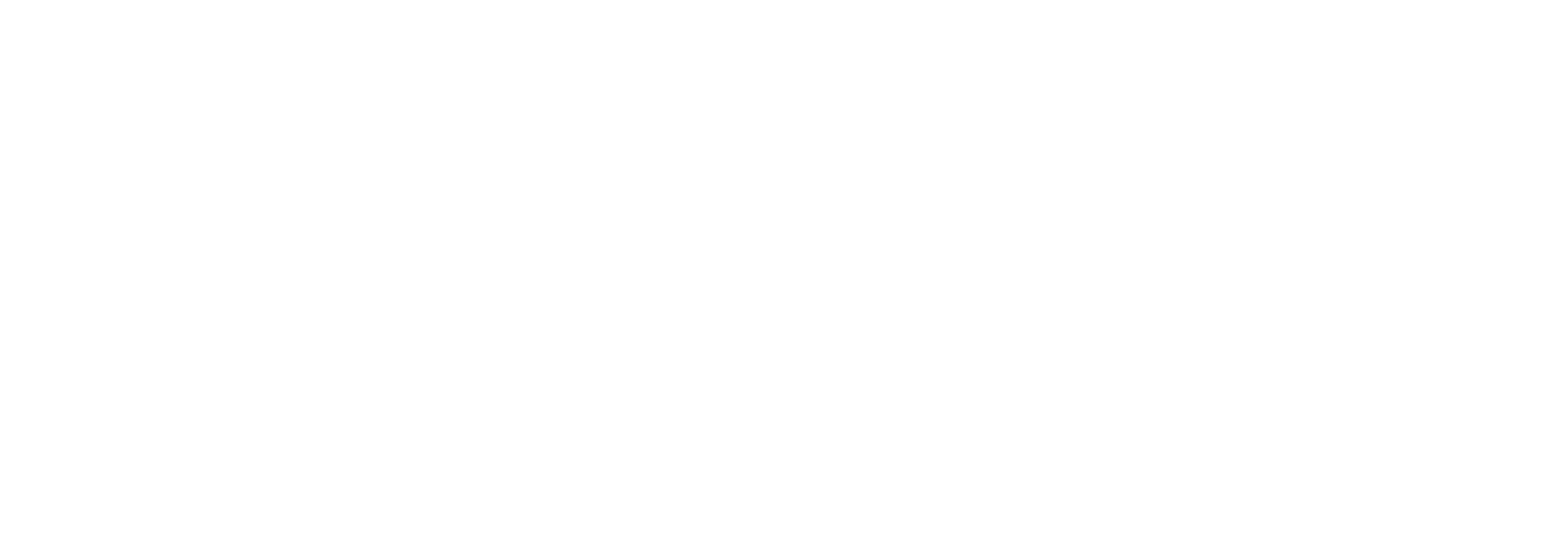 Feengster